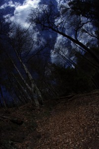 Fot. Agata Łęgowska