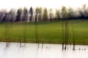 Fot. Agata Łęgowska