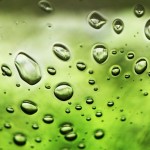 Fot. Agata Łęgowska