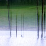 Fot. Agata Łęgowska