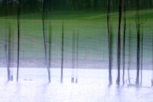 Fot. Agata Łęgowska