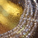 Fot. Iwona Wołyńska Kujawiak