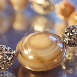 Fot. Iwona Wołyńska Kujawiak