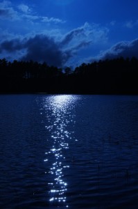 Fot. Iwona Wołyńska Kujawiak