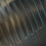 Fot. Magda Szutarska