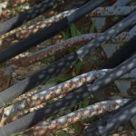 Fot. Magda Szutarska