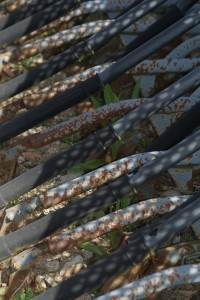 Fot. Magda Szutarska