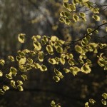 Fot. Magda Szutarska