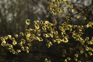 Fot. Magda Szutarska