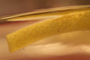 Fot. Magda Szutarska