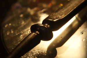 Fot. Magda Szutarska