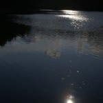 Fot. Magda Szutarska