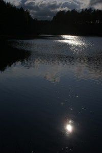 Fot. Magda Szutarska