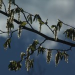 Fot. Magda Szutarska