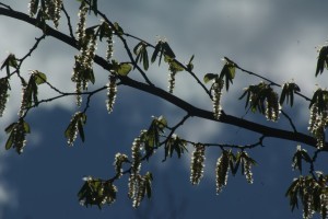 Fot. Magda Szutarska