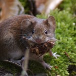 Fot. Magda Szutarska