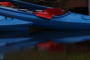 Fot. Magda Szutarska