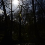 Fot. Małgorzata Marczuk