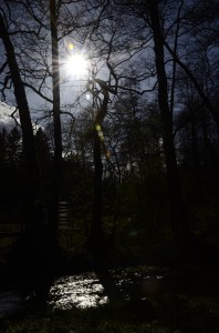 Fot. Małgorzata Marczuk