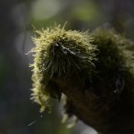 Fot. Małgorzata Marczuk