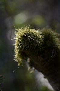 Fot. Małgorzata Marczuk