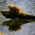 Fot. Małgorzata Marczuk