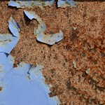 Fot. Małgorzata Marczuk