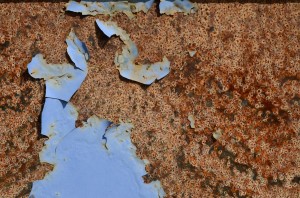 Fot. Małgorzata Marczuk