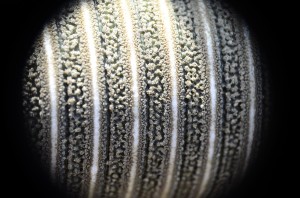 Fot. Małgorzata Marczuk