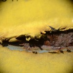 Fot. Małgorzata Marczuk