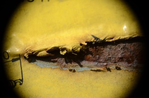 Fot. Małgorzata Marczuk