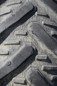 Fot. Małgorzata Marczuk