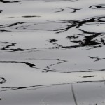 Fot. Małgorzata Marczuk