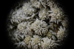 Fot. Małgorzata Marczuk