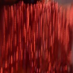 Fot. Małgorzata Marczuk