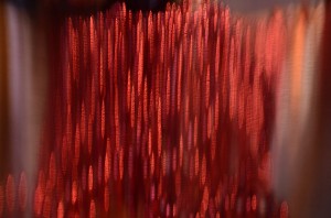 Fot. Małgorzata Marczuk