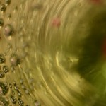 Fot. Małgorzata Marczuk