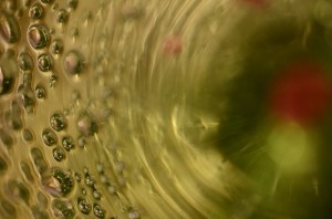 Fot. Małgorzata Marczuk