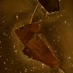 Fot. Małgorzata Marczuk