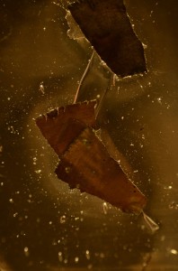 Fot. Małgorzata Marczuk