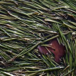 Fot. Małgorzata Marczuk