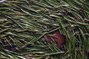 Fot. Małgorzata Marczuk