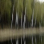 Fot. Małgorzata Marczuk