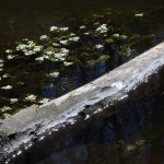 Fot. Małgorzata Marczuk