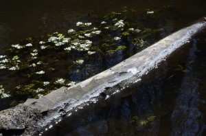 Fot. Małgorzata Marczuk