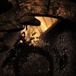 Fot. Maria Płonka-Krzemień