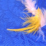 Fot. Maria Płonka-Krzemień