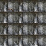 Fot. Maria Płonka-Krzemień