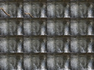 Fot. Maria Płonka-Krzemień