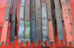 Fot. Małgorzata Kozak